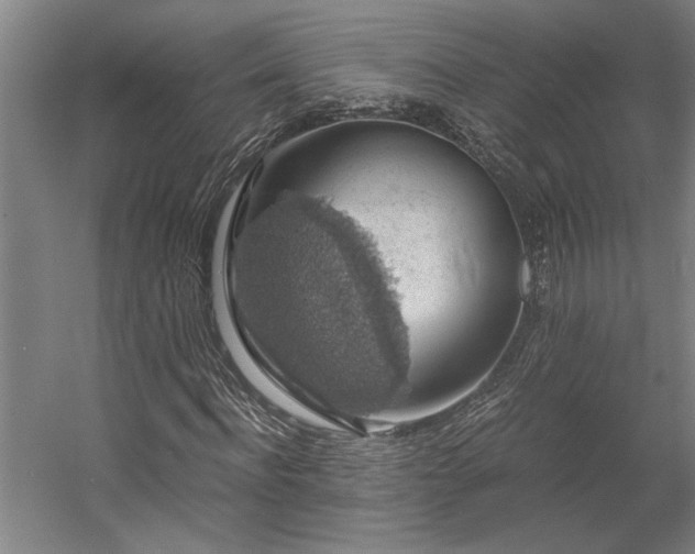 X0000058780916200509301111