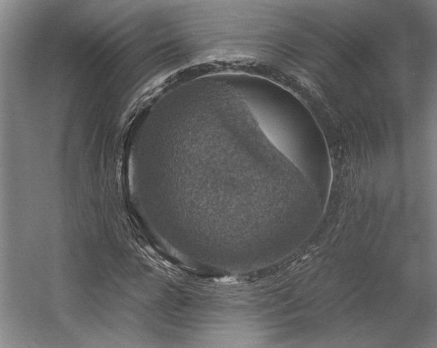 X0000058780920200509301111