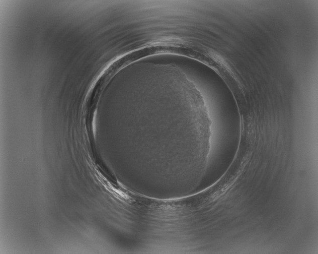 X0000058780923200509301111