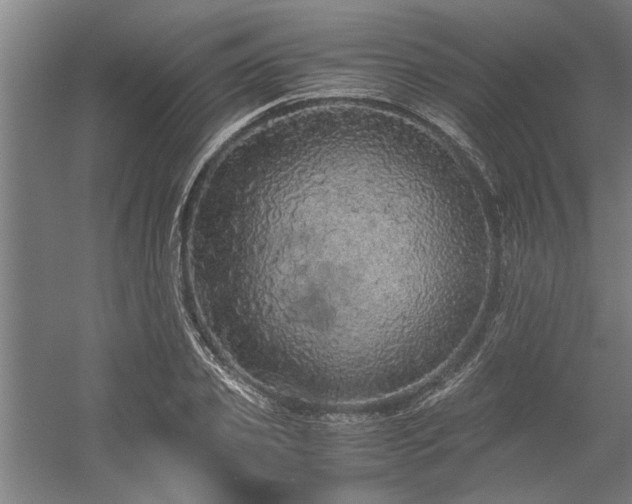 X0000058780933200509301111