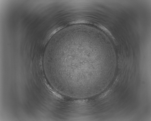 X0000058780937200509301111