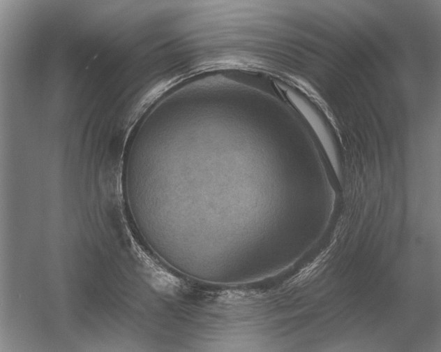 X0000058780938200509301111