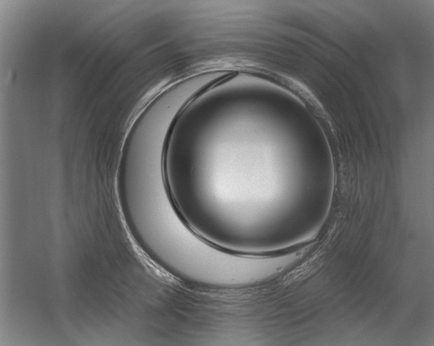 X0000058780946200509301111