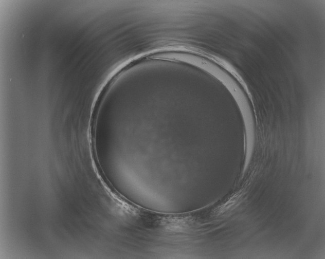 X0000058780951200509301111