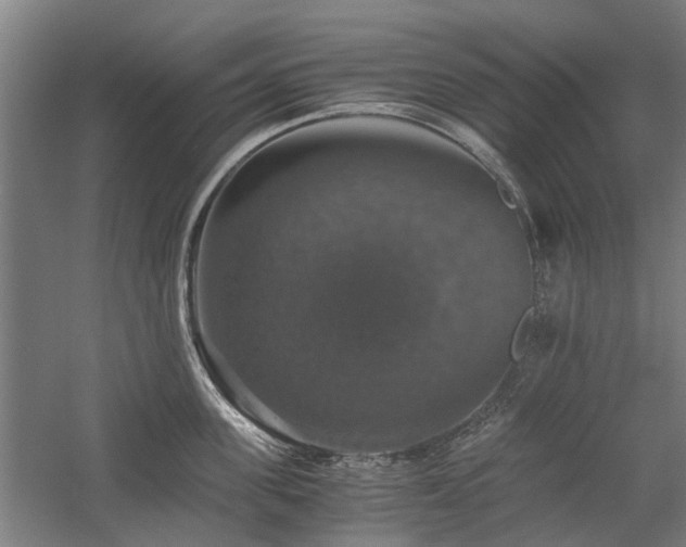 X0000058780955200509301111