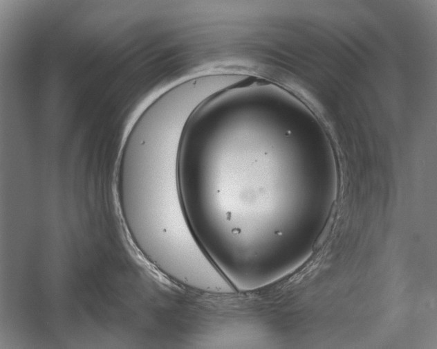 X0000058780960200509301111