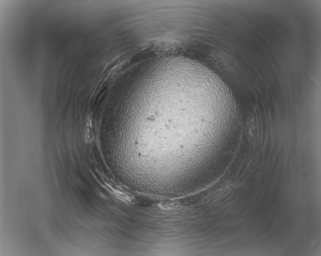 X0000058780964200509301110