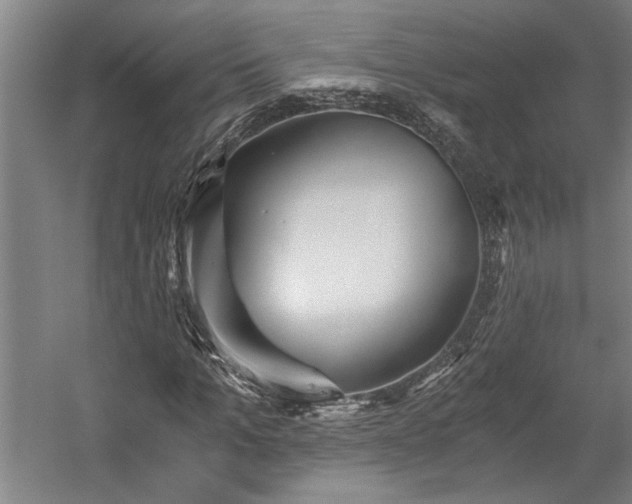 X0000058780965200509301110