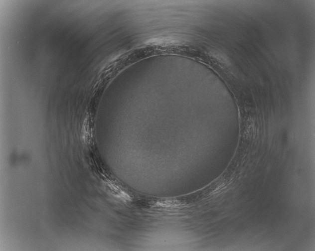 X0000058780966200509301110