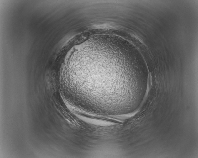 X0000058780968200509301110