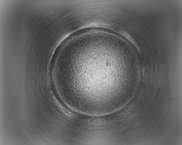 X0000058780972200509301110