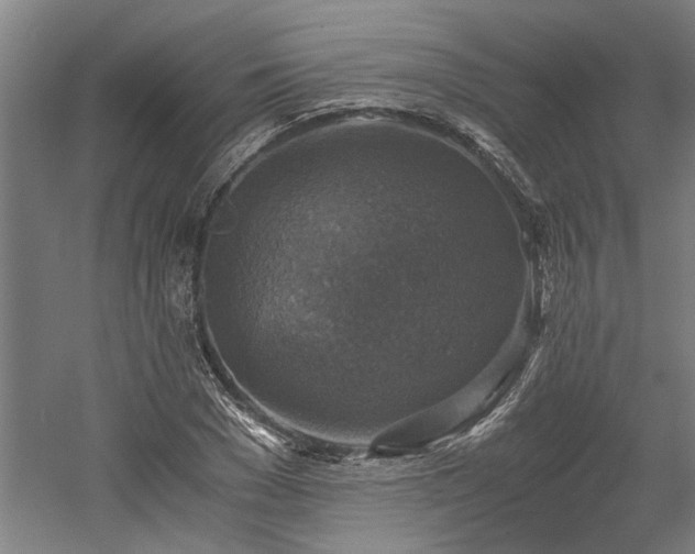 X0000058780977200509301110