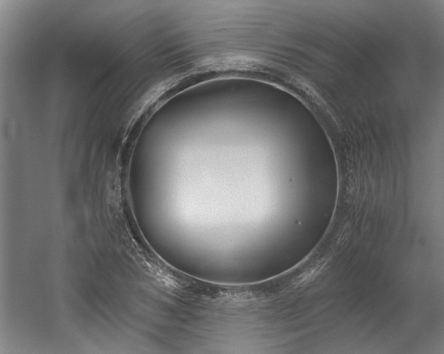 X0000058780978200509301110