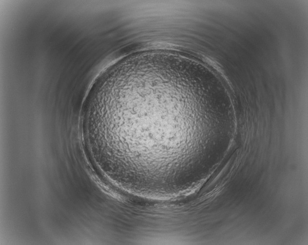 X0000058780987200509301110