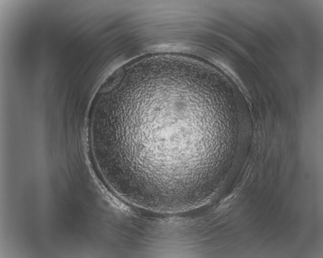 X0000058780992200509301110