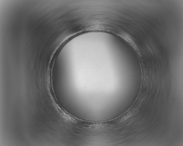 X0000058781000200509301110