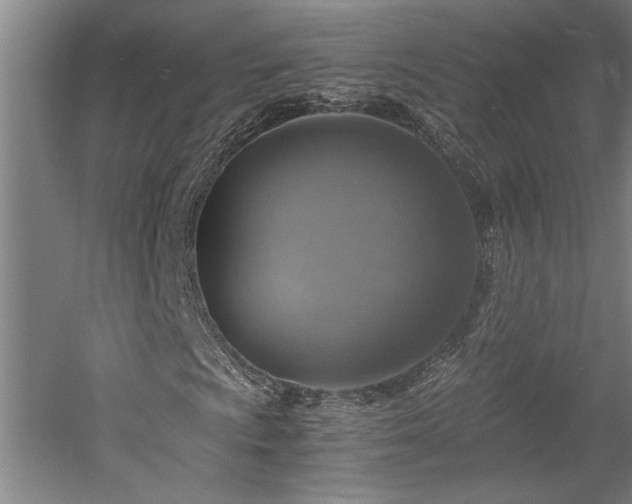 X0000058781009200509301109