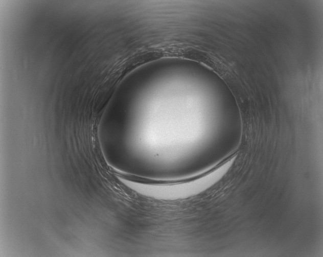 X0000058781010200509301109