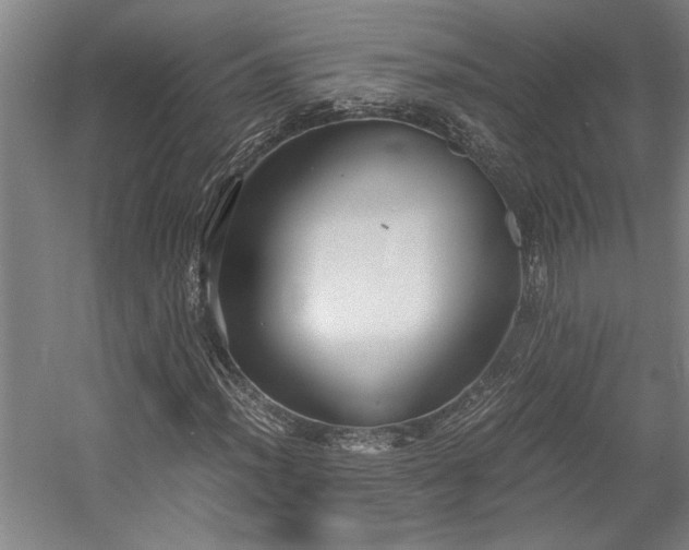 X0000058781012200509301109