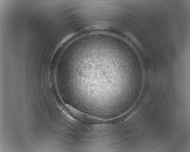 X0000058781018200509301109
