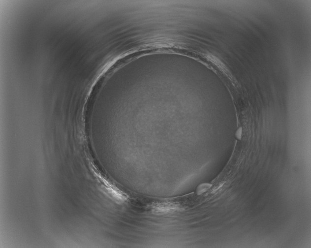 X0000058781023200509301109