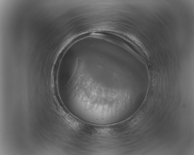 X0000058781031200509301109