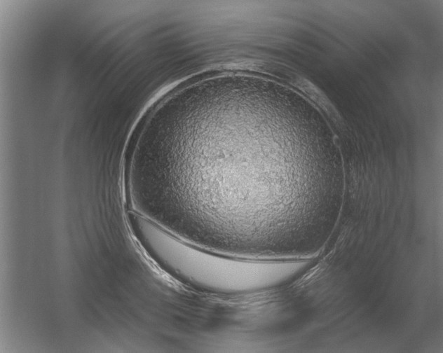 X0000058781036200509301109