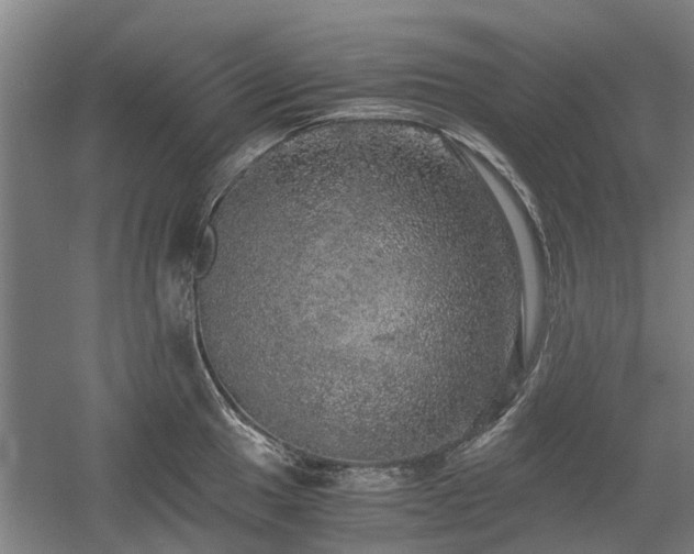 X0000058781049200509301110