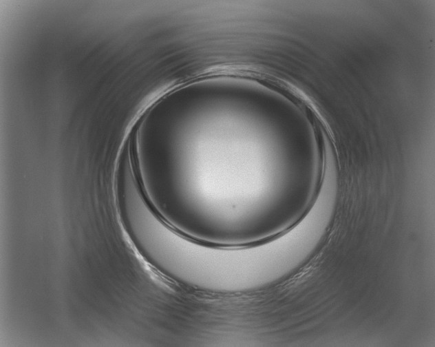 X0000058781050200509301110