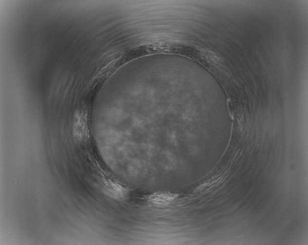 X0000058781060200509301109