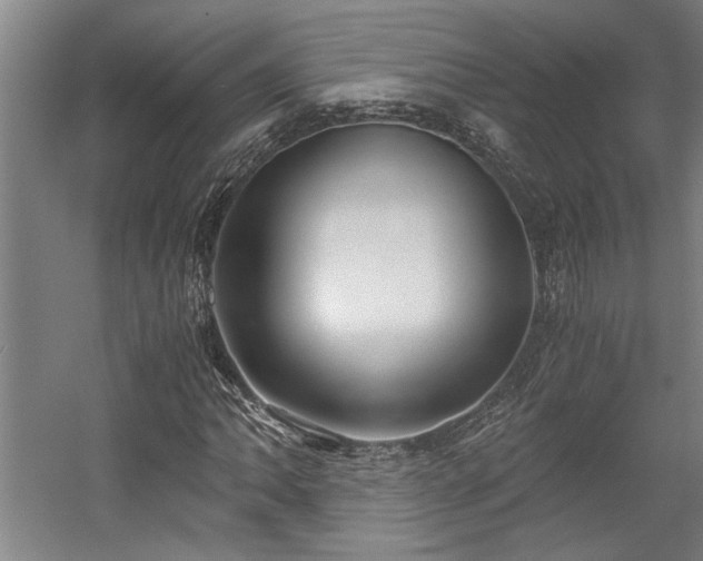 X0000058781062200509301109