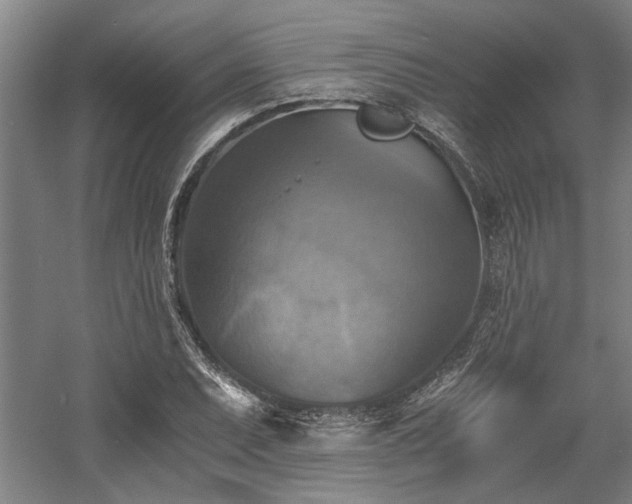 X0000058781071200509301109