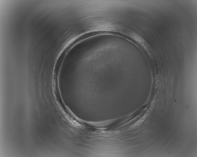 X0000058781077200509301108