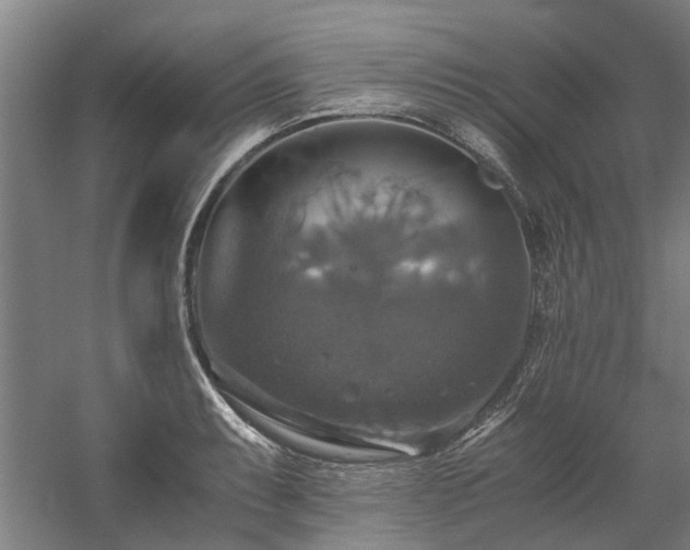 X0000058781087200509301108