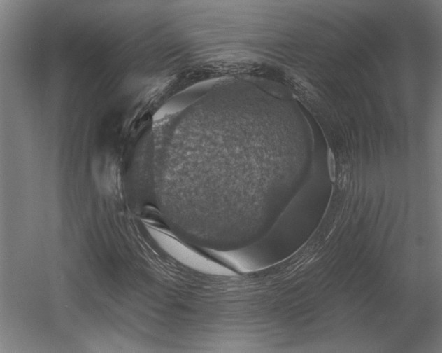 X0000058781108200509301107