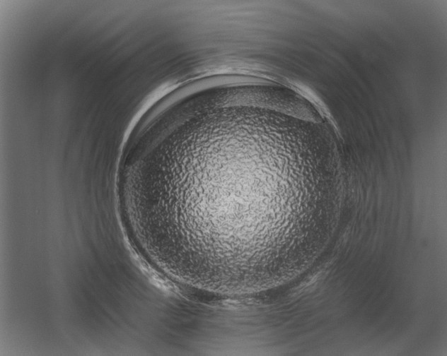 X0000058781138200509301108
