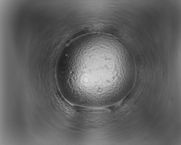 X0000058781153200509301107