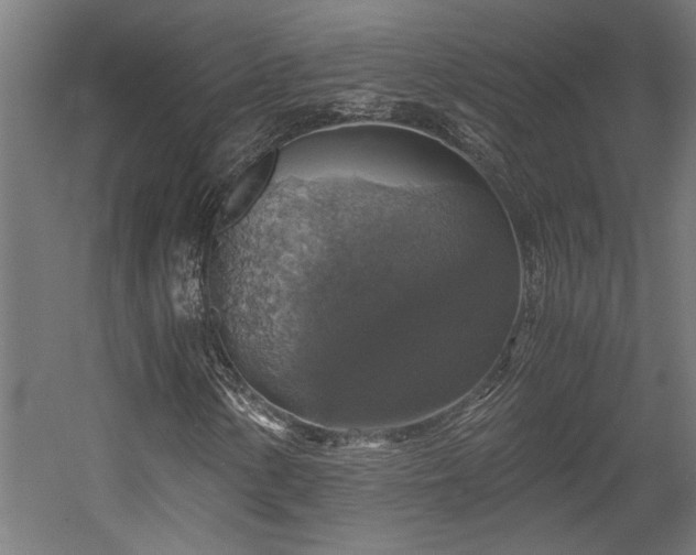 X0000058781154200509301107