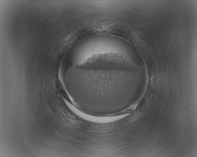 X0000058781156200509301107