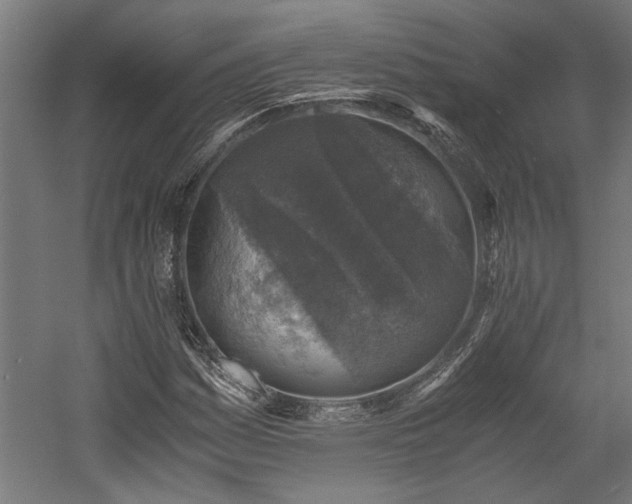 X0000058781161200509301107