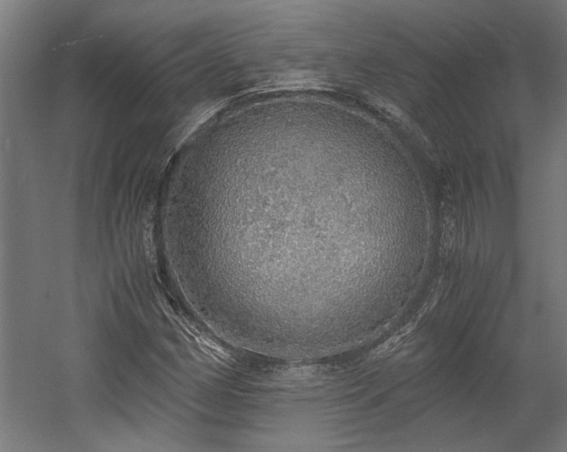 X0000058781162200509301107