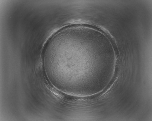 X0000058781167200509301107