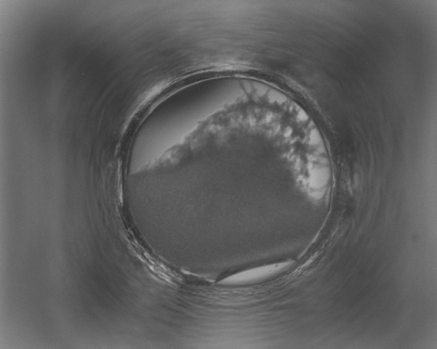 X0000058781171200509301107