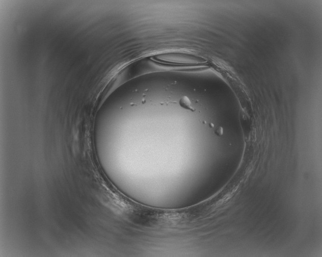 X0000058781177200509301107