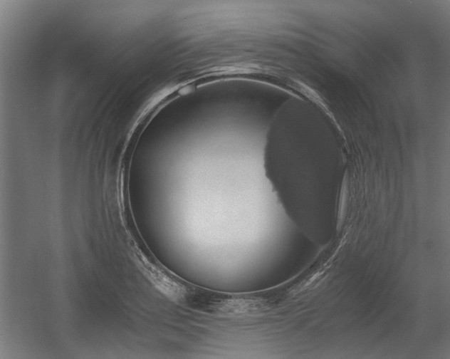 X0000058781179200509301107