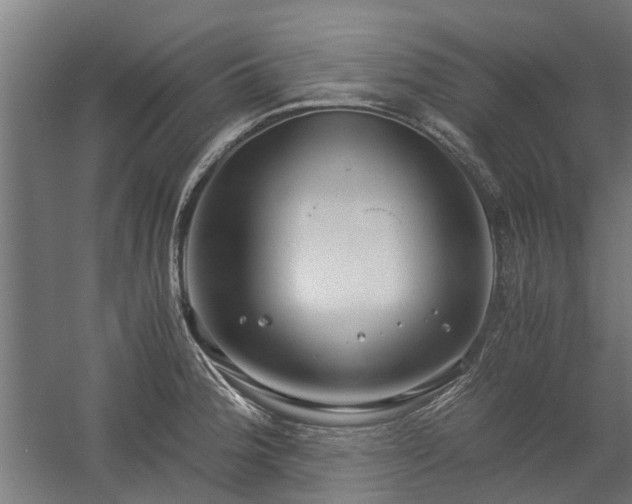 X0000058781188200509301107