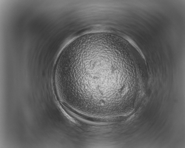 X0000058781197200509301106