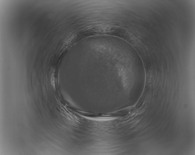 X0000058781202200509301106