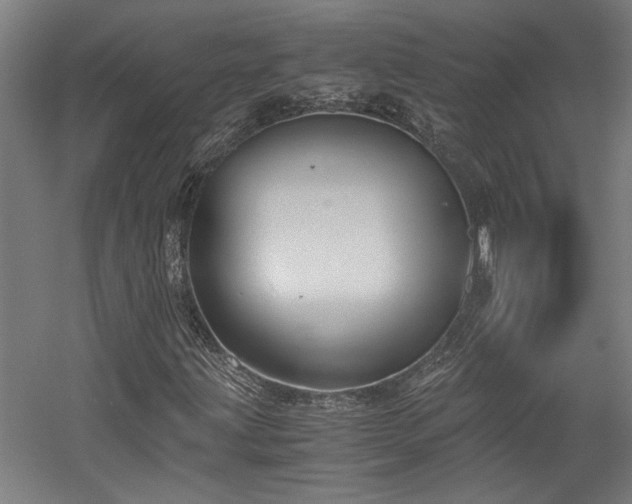 X0000058781203200509301106