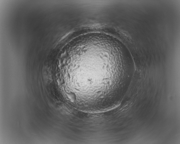 X0000058781205200509301106